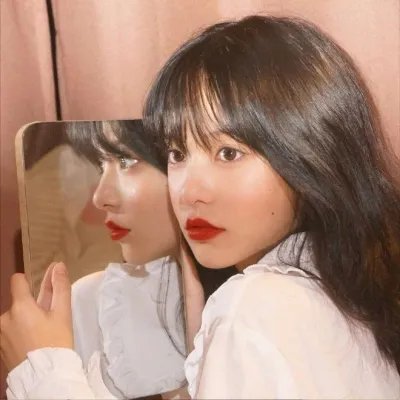 蜜蜂的秘密生活